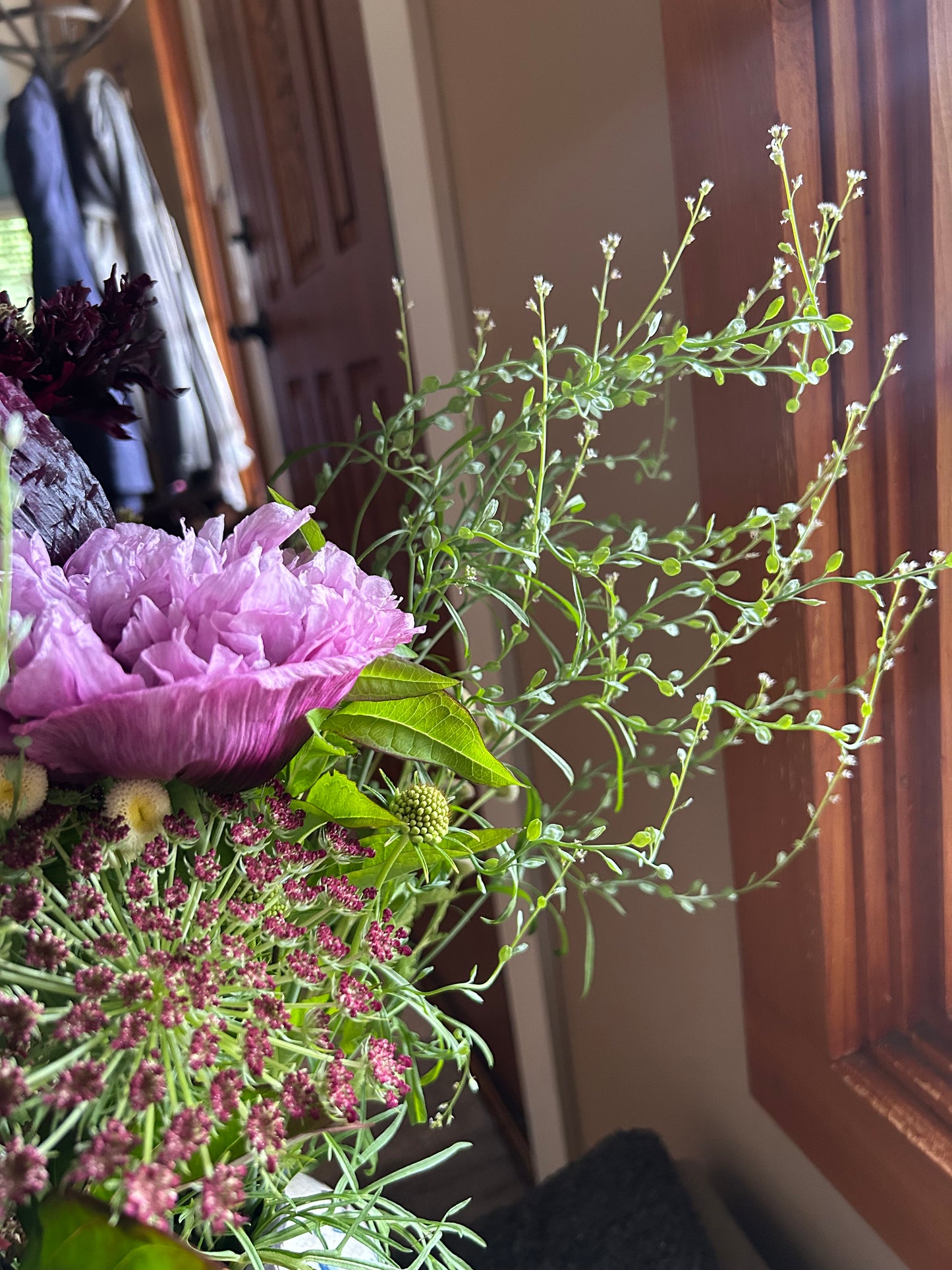 Cress Wrinkled Crinkled Seeds