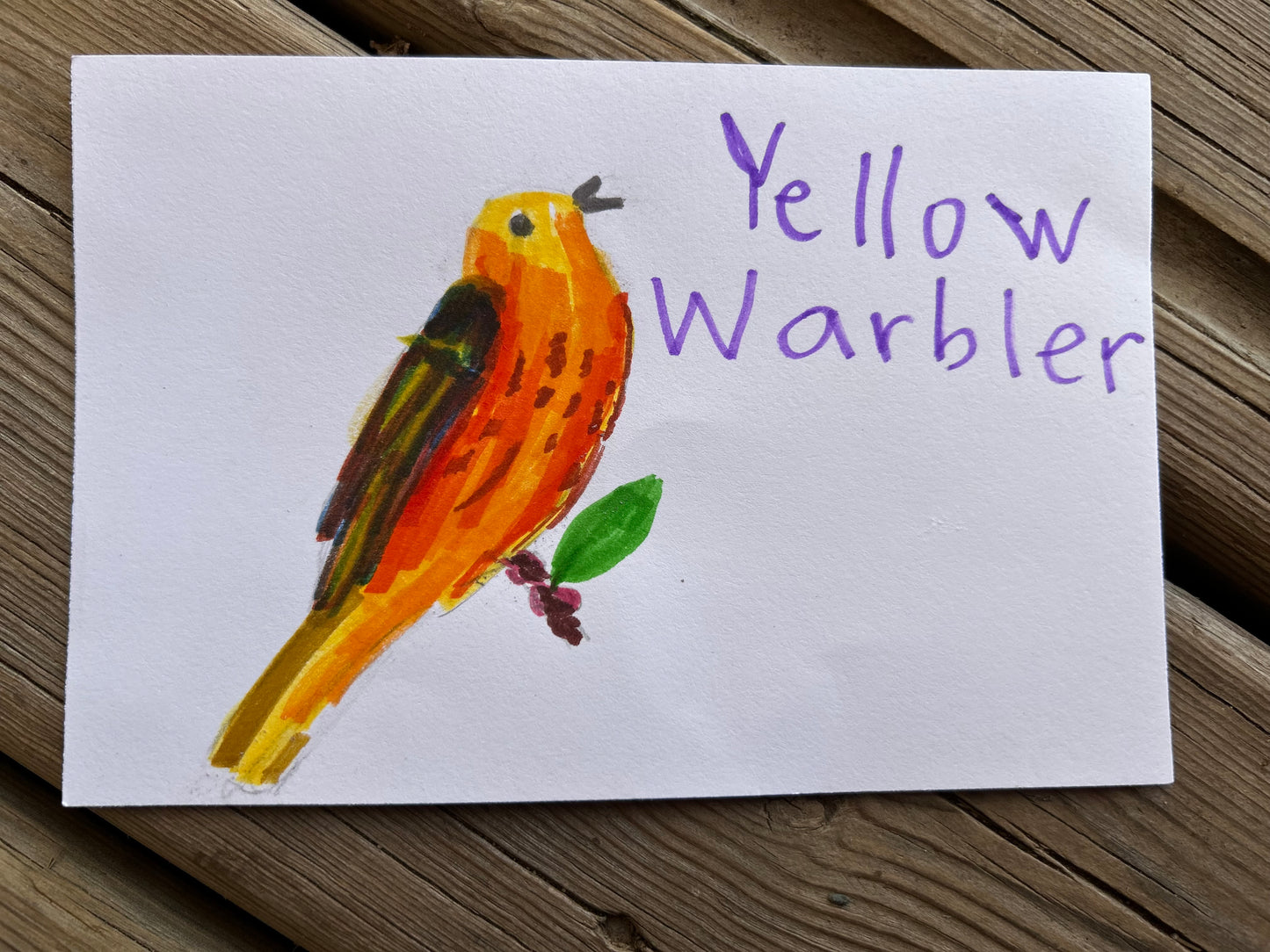 Yellow Warbler