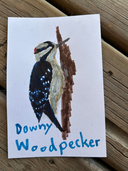 Downy Woodpecker