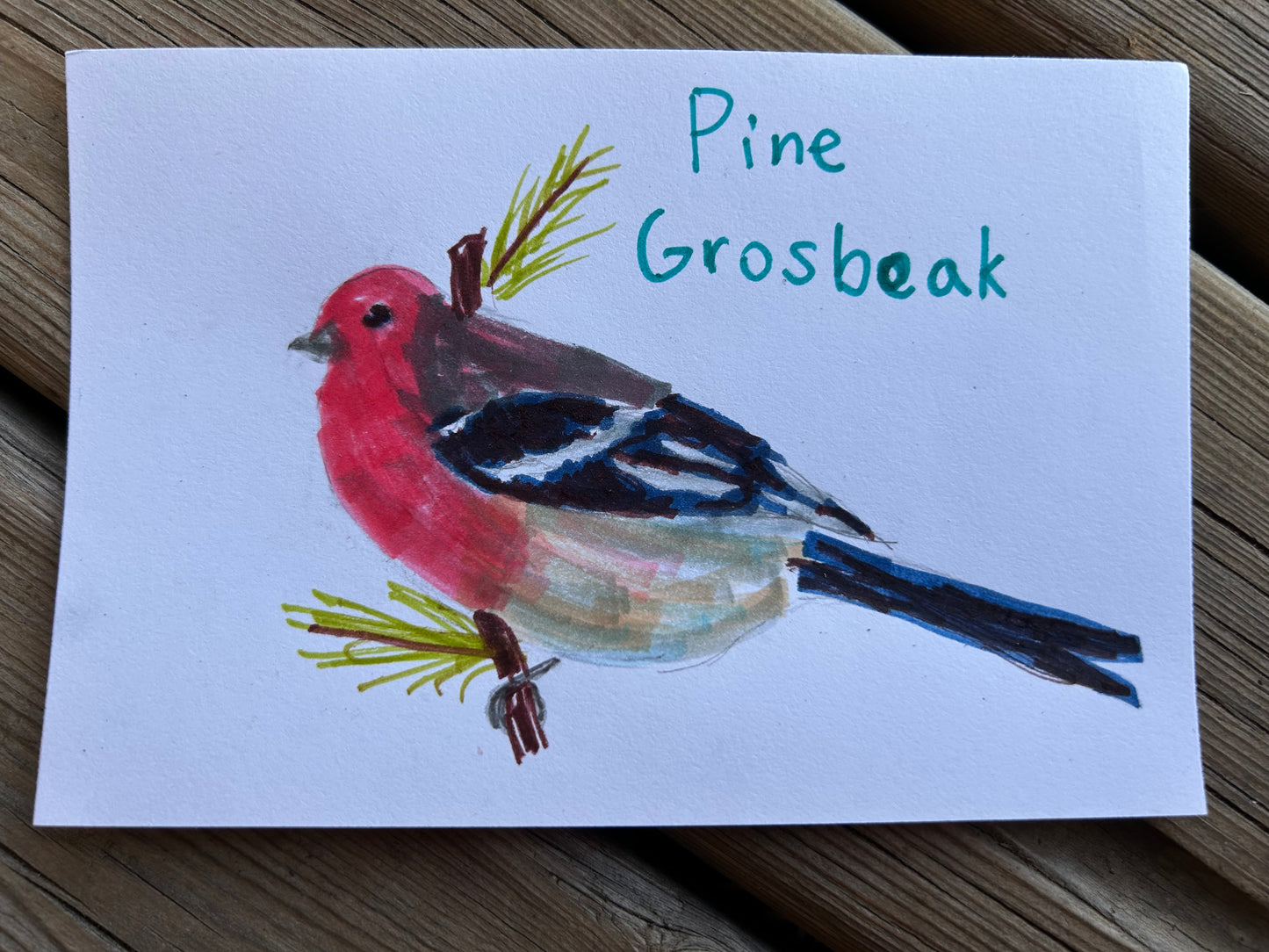 Pine Grosbeak