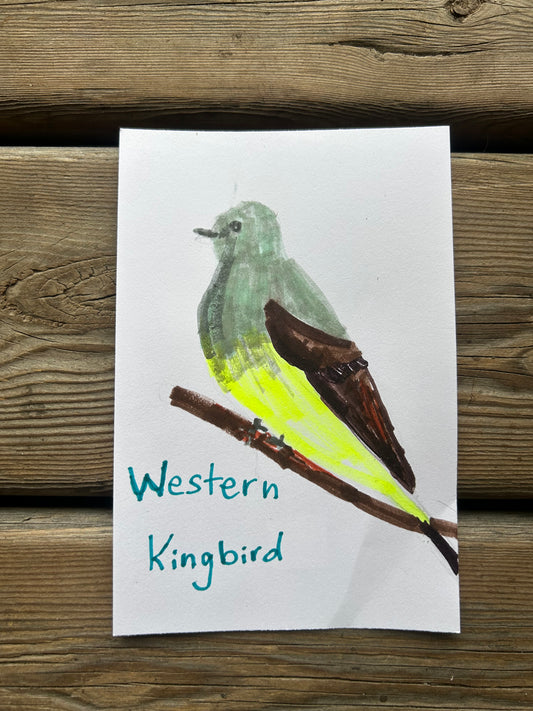 Western Kingbird