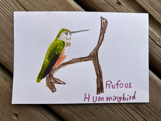 Rufous Hummingbird