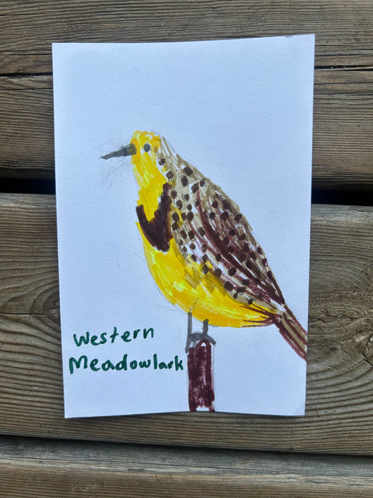 Western Meadowlark