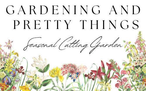 Gardening and Pretty Things 